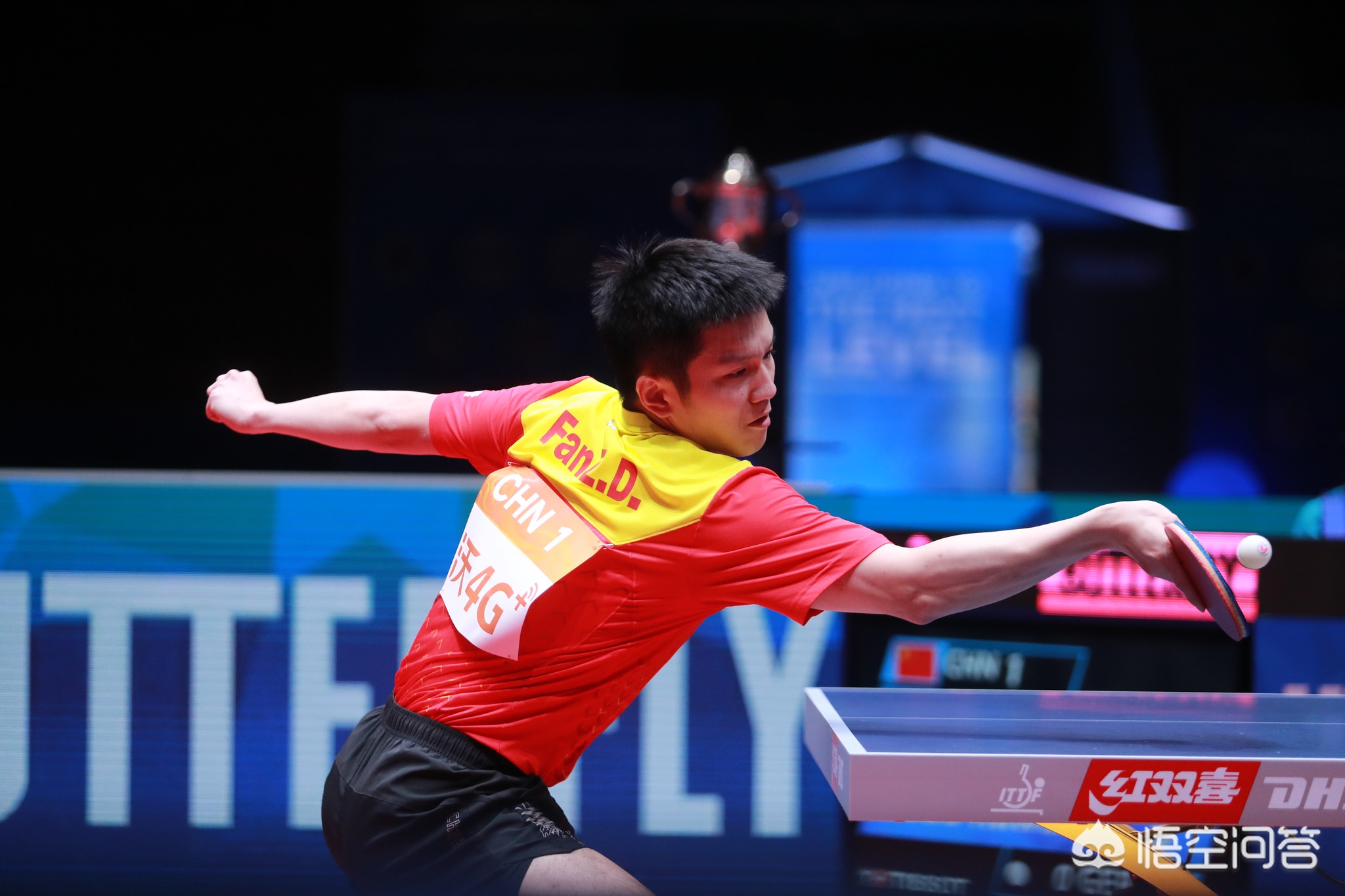 份的比赛中 份的比赛中