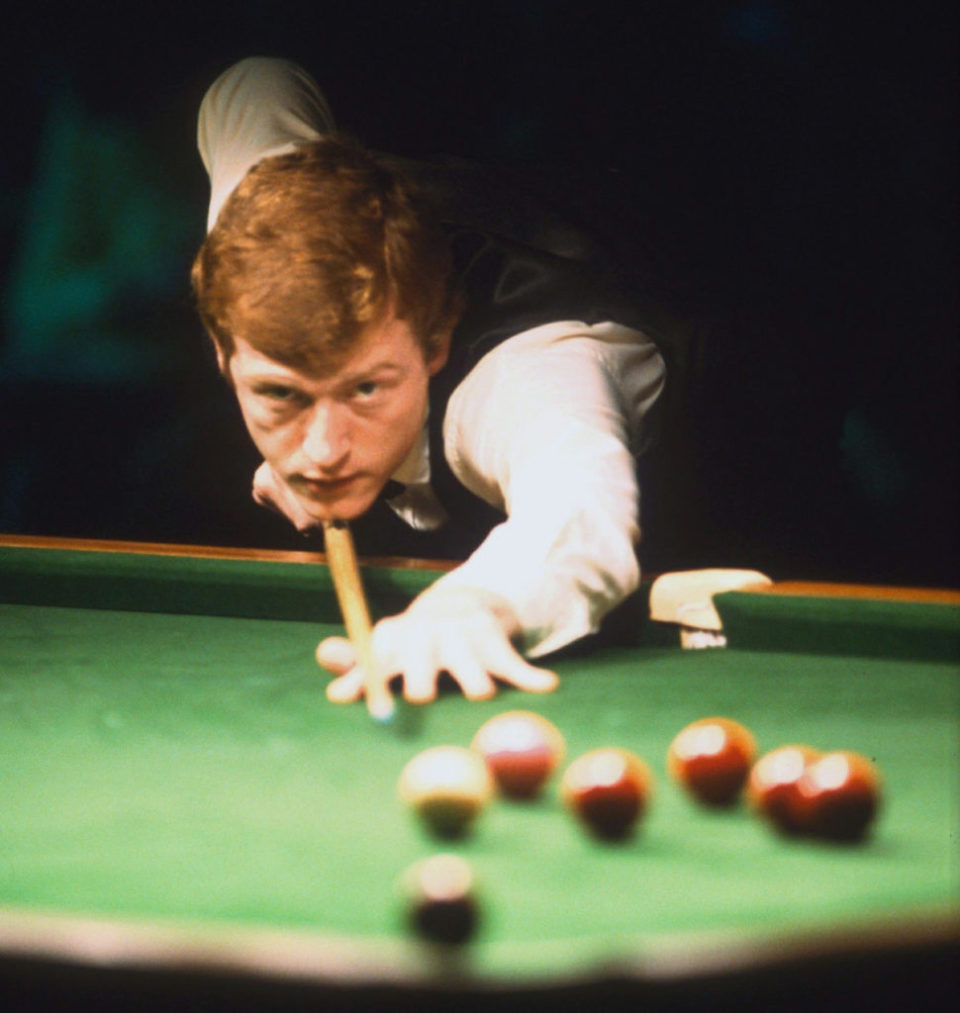 他们都在自 他们都在自