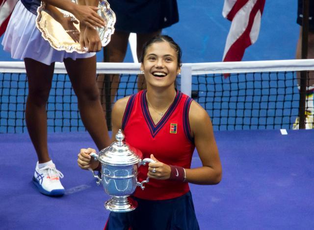 麾下的发展 麾下的发展