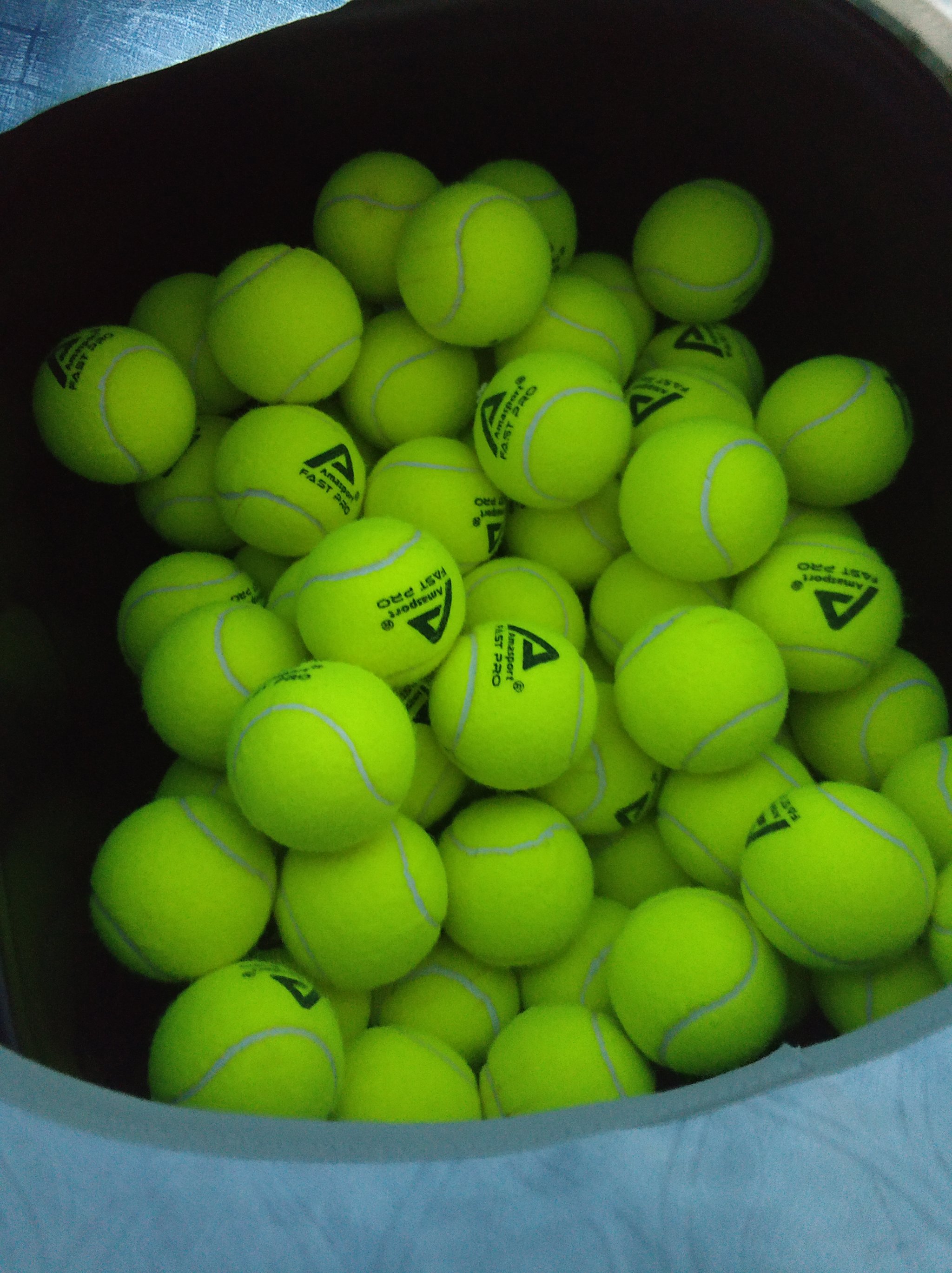 这意味着 这意味着