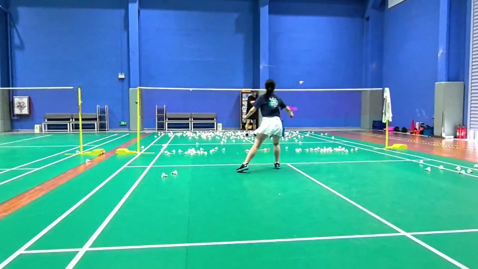 它准备的似 它准备的似